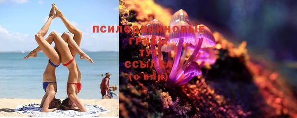 spice Богородск