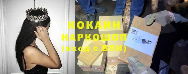 spice Богородск