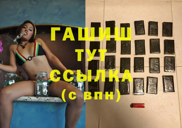 spice Богородск