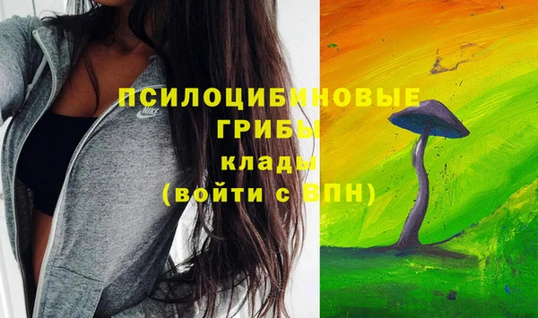 spice Богородск