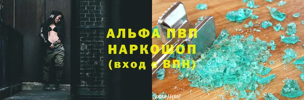 spice Богородск