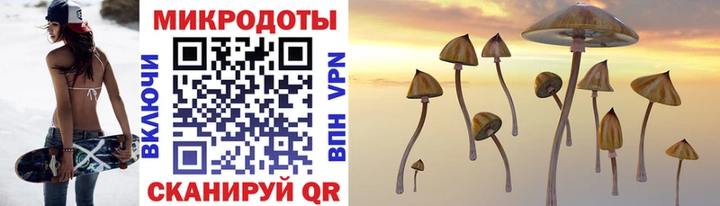 Псилоцибиновые грибы Psilocybine cubensis Белёв